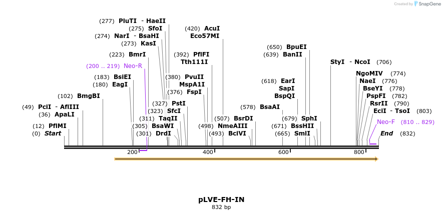 127610_map