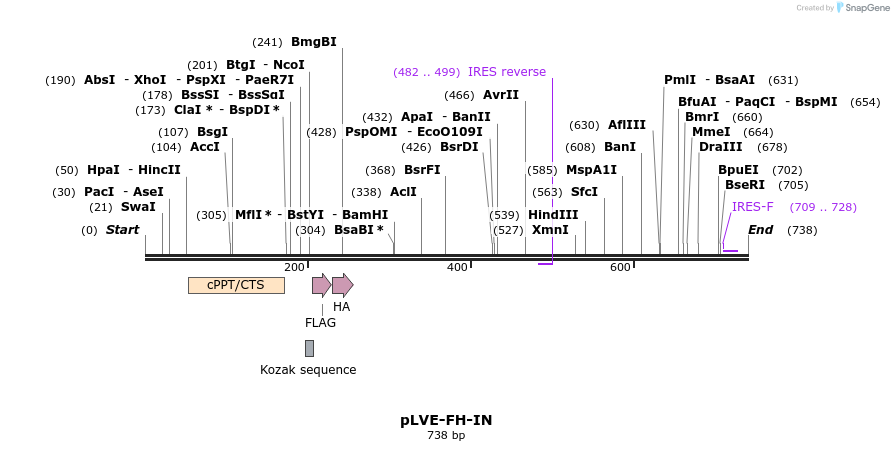 127611_map