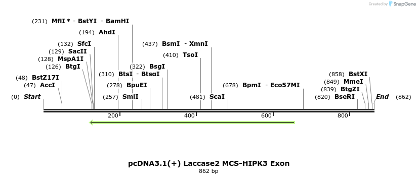 127612_map
