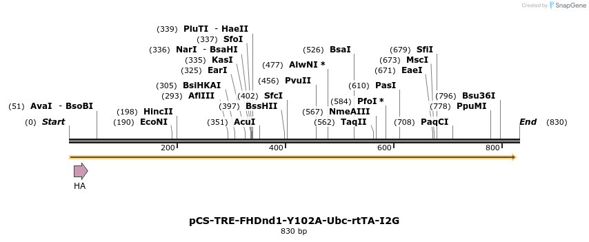 127613_map