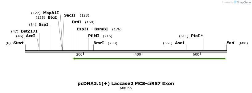 127615_map