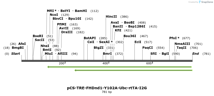 127617_map
