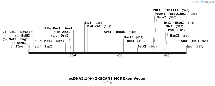 127618_map