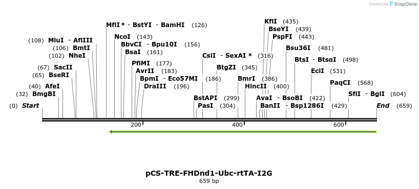 127621_map