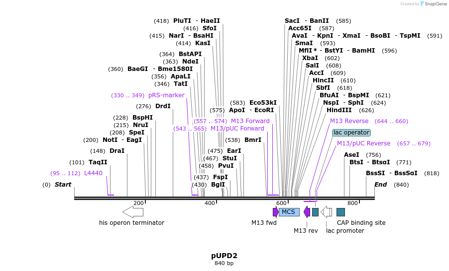 127624_map