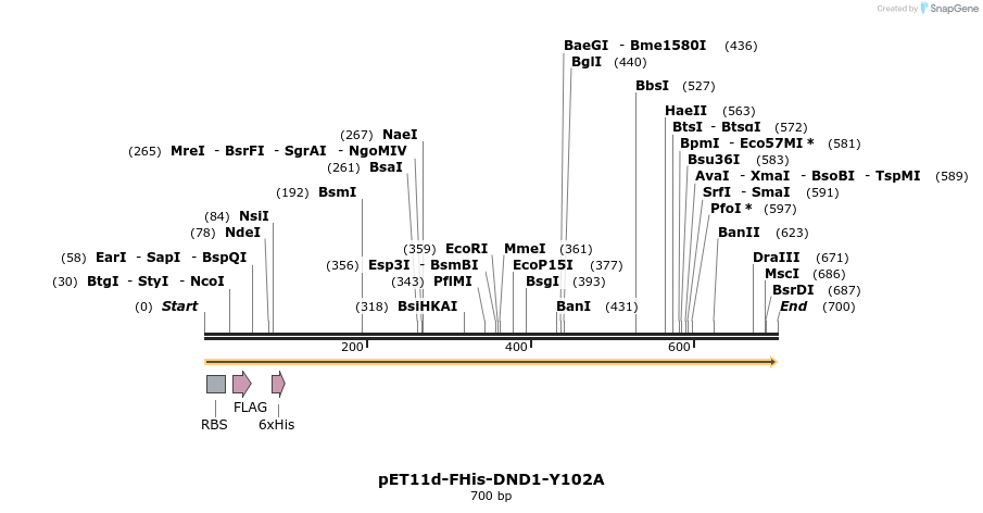 127625_map
