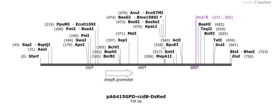 127627_map