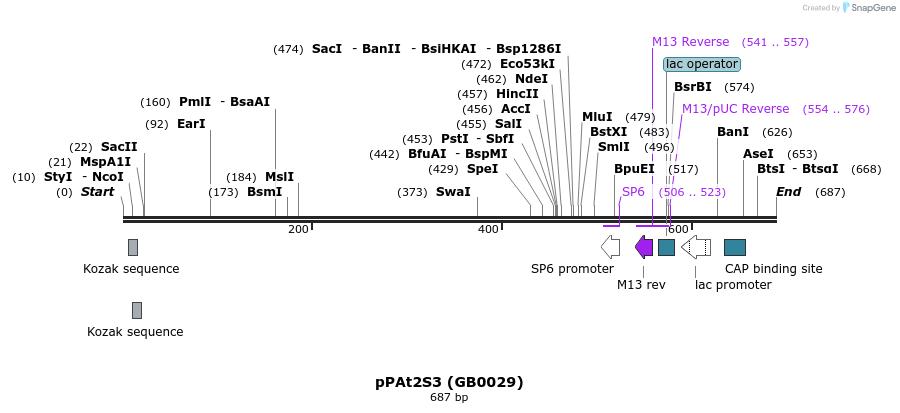 127631_map