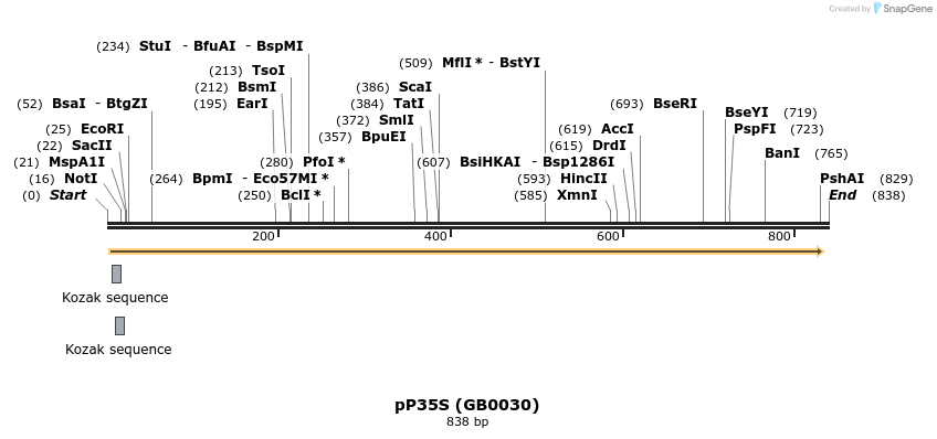 127636_map