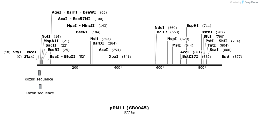 127642_map