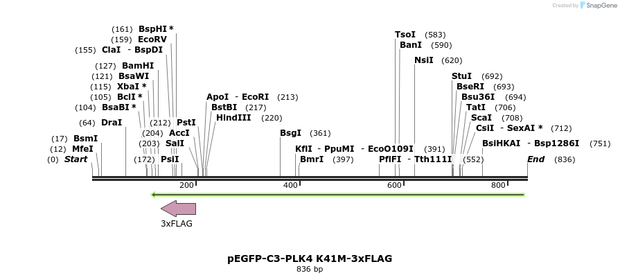 127645_map