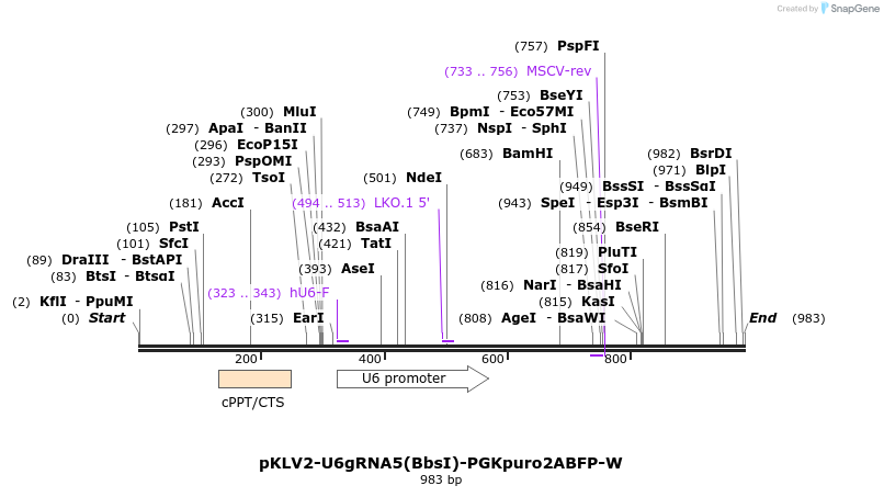 127646_map