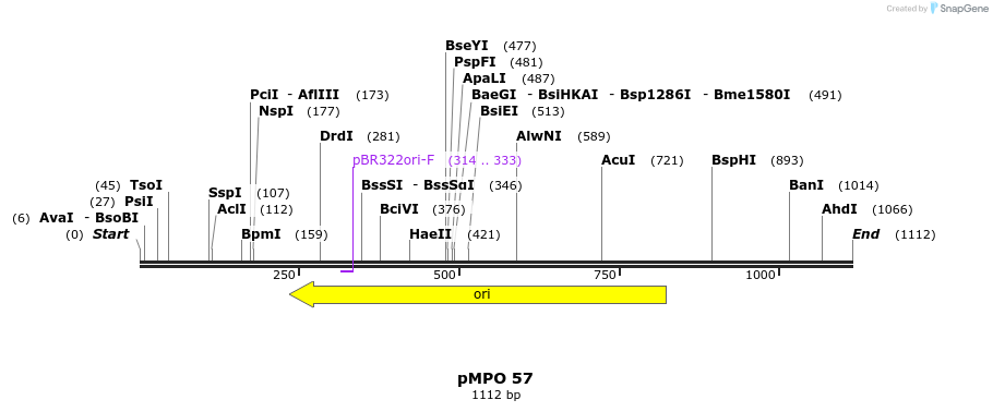 127648_map