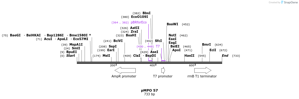 127649_map