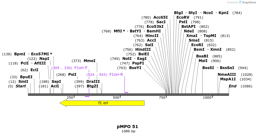127650_map