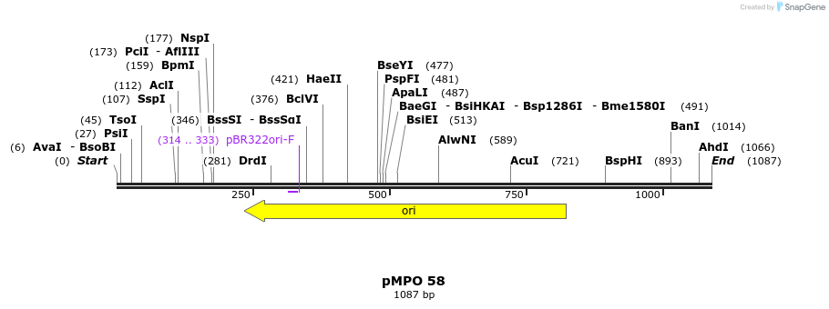 127655_map