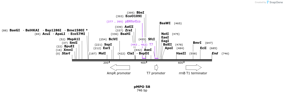 127657_map
