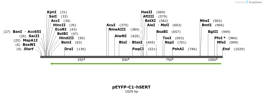 127658_map