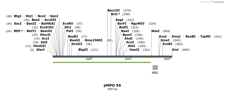 127661_map