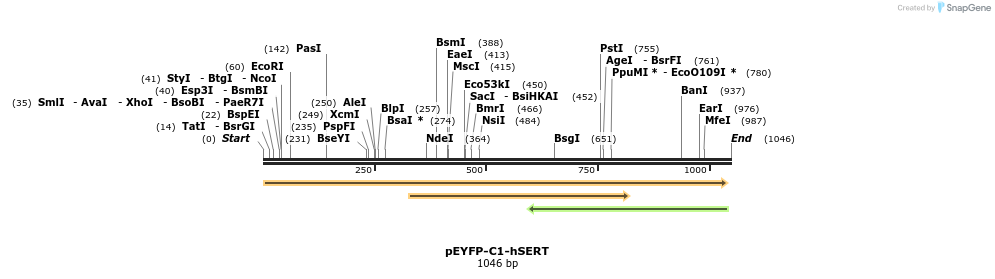 127666_map