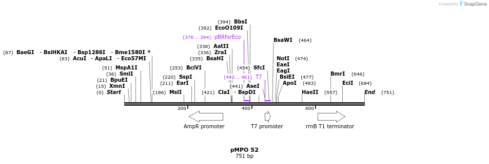 127675_map