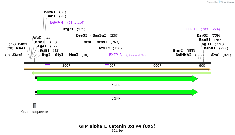127678_map