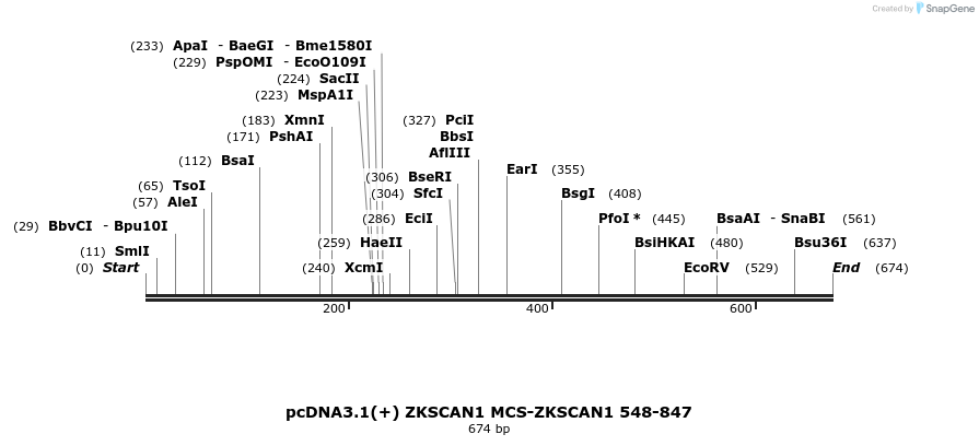 127684_map