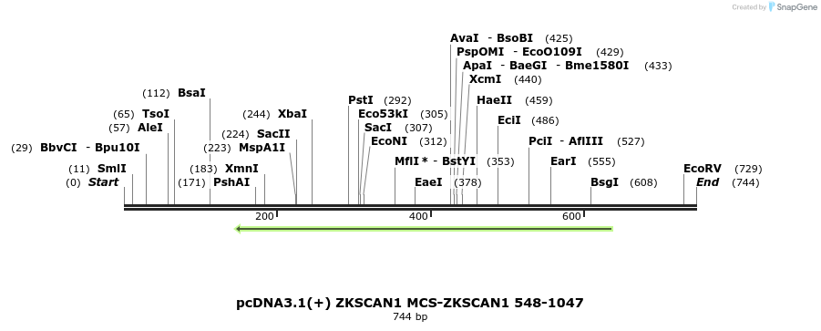 127685_map