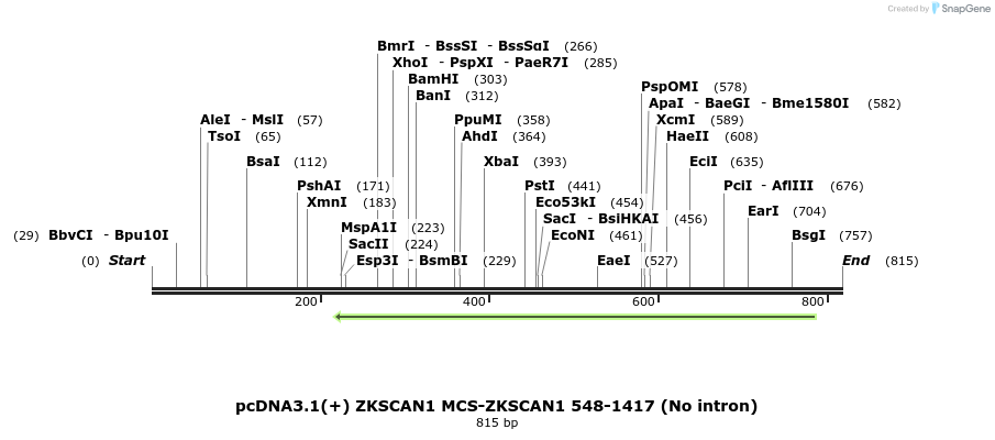 127687_map