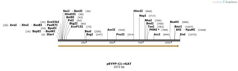 127690_map