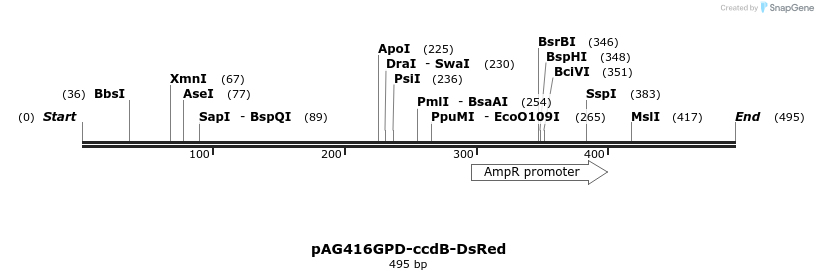 127695_map