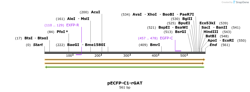 127697_map