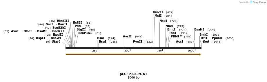 127699_map