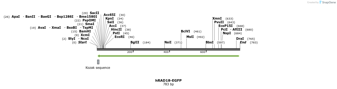 127701_map