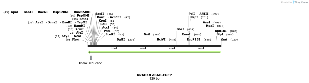 127703_map