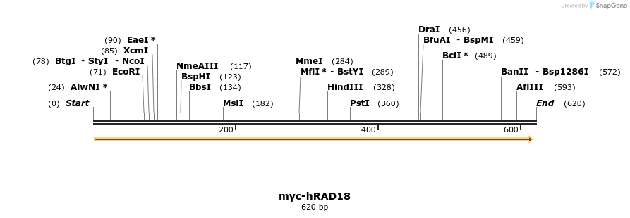 127708_map