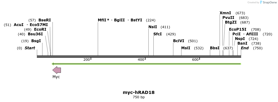 127710_map