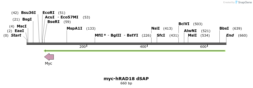 127713_map