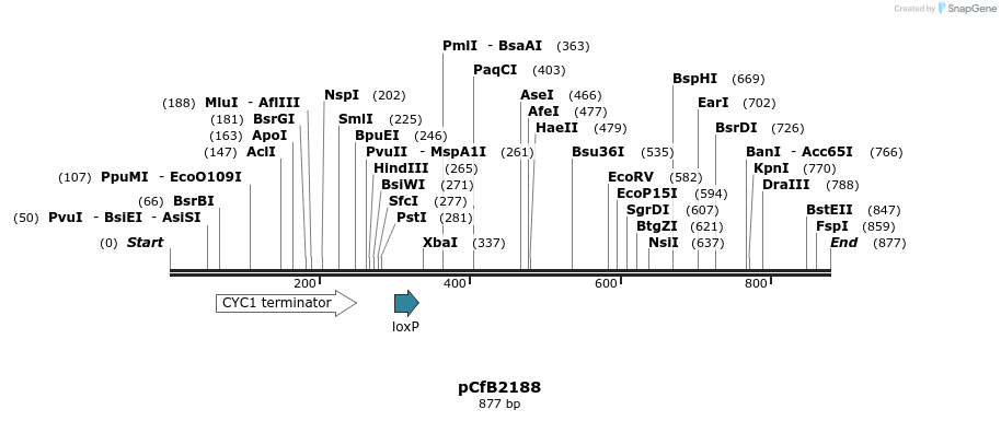 127717_map