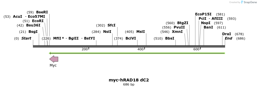127718_map