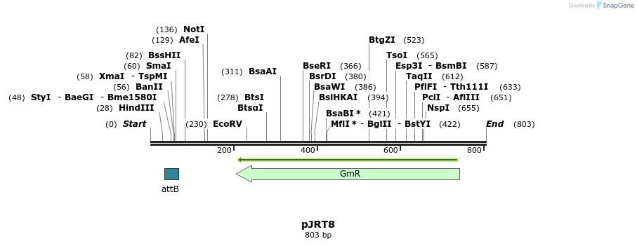 127723_map