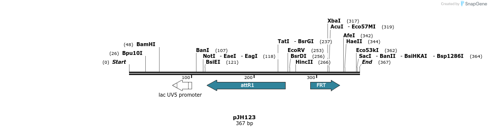 127726_map