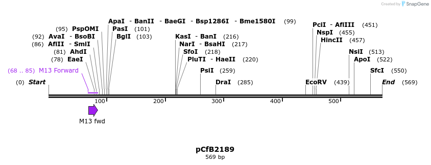 127729_map