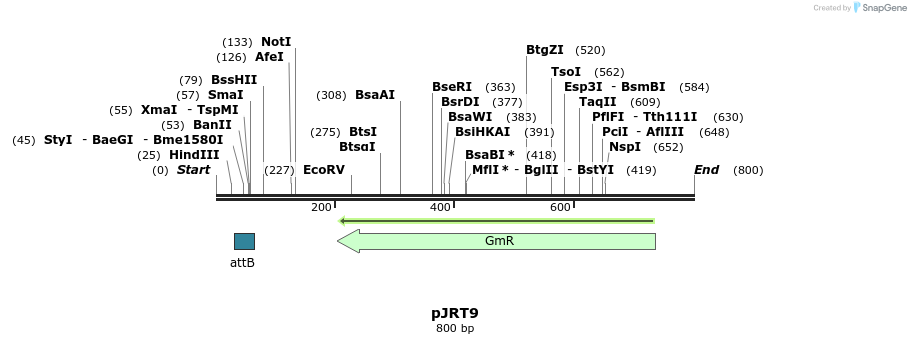 127730_map