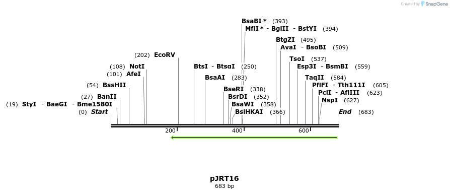 127731_map