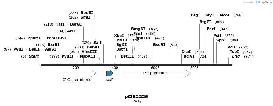 127735_map