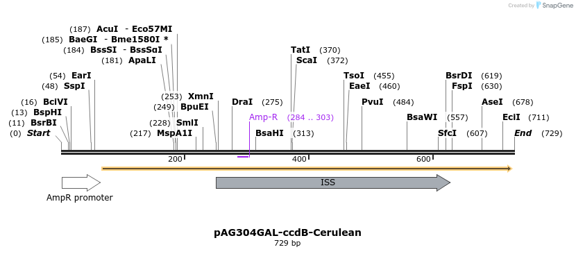 127737_map