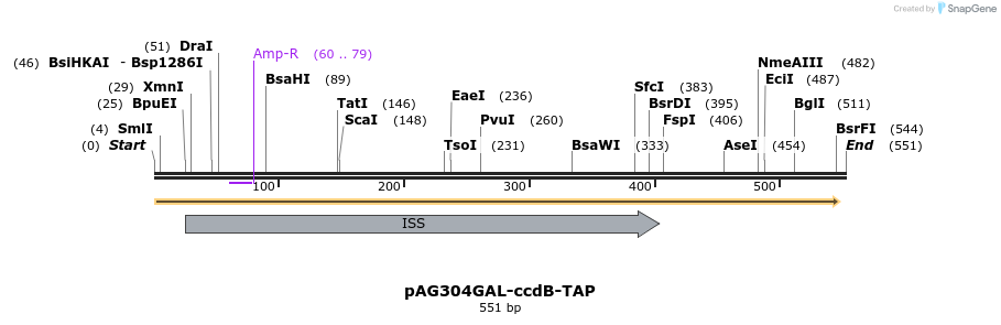 127739_map