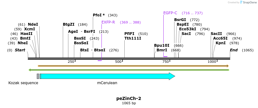 127751_map