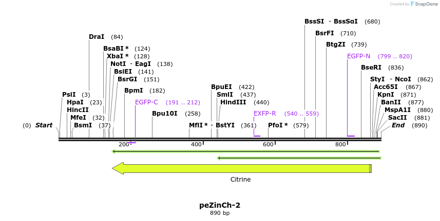 127752_map